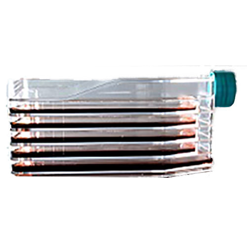 NEST   5-Layer Cell Culture Flask, Vent Cap, Straight Neck, TC, sterile 1/pk, 8/cs