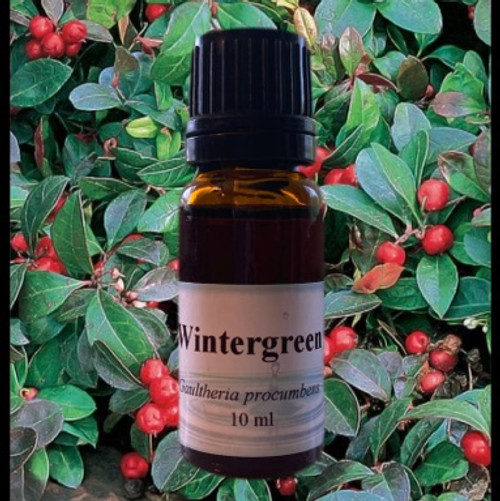 Wintergreen