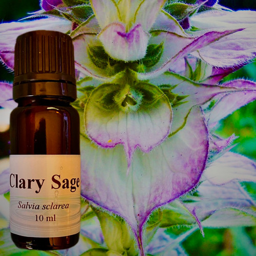 Clary Sage