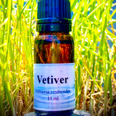 Vetiver (Light)