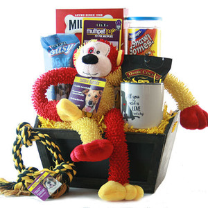 Pampered Pooch: Pet Dog Gift Basket Z954-DY-POOCH