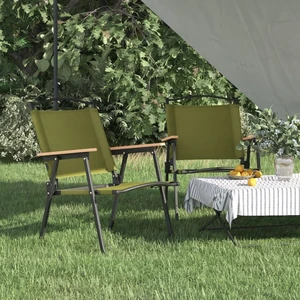 Camping Chairs 2 pcs Green 21.3"x21.7"x30.7" Oxford Fabric A949-319486