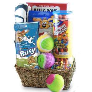 Fur-ever Friend: Pet Dog Gift Basket Z954-DY-FUREVER