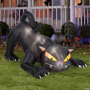 BLACK CAT W TURNING HEAD M680-SS23623G