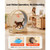 Cat Exercise Wheel, 48 in Wooden Cat Running Wheel for Indoor Cats up to 28 lbs, Cats Treadmill wit E415-MZMPBJMWSMDB3W6JK001V0