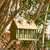Green Wood Garden Bird House with 1 Compartment and 4 Holes Q280-GWDBHF45136825