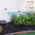 Teal Green Blue White Mosaic Glass Birdbath Bowl with Black Metal Stand Q280-GRMDBMS574293681