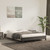  Bed Frame without Mattress Dark Gray 59.8"x79.9" Queen Velvet A949-347010