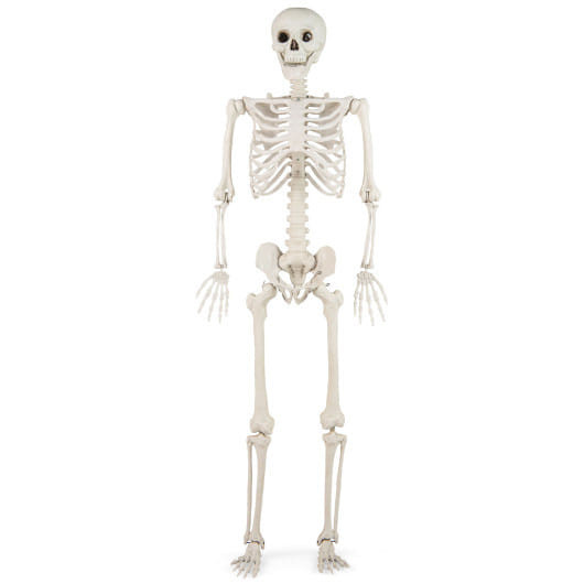 5.4 FT Halloween Skeleton Decoration Life Size Large Skeleton B593-CM25102