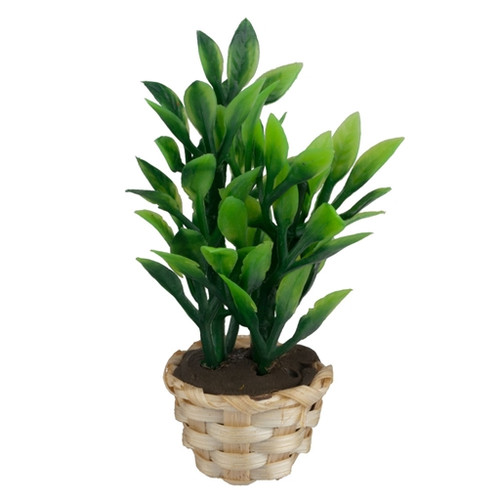 Potted Houseplant