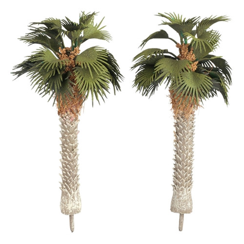 Mediterranean Fan Palm Trees, 2-Pack