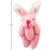 Stuffed Pink Bunny