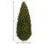 4"H Spring Green "Squeeze Me" Trees, 2-Pack