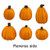 Little Pumpkins in a Row
