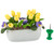 Springtime Tulips and Pansies in Oval Planter