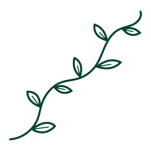 Vines