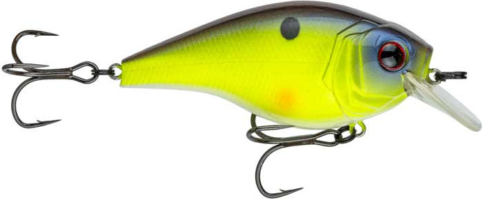 best fishing nets for walleye Top 10 Landing Nets this Season