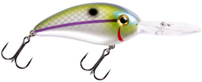 fat free fry fishing lure Bomber Guppy Crankbait 2 3/8in 3/8oz Electric Shad BMBD5M519 crank big bait dives fast and deep Bomber Fat Free Shad Jr.
