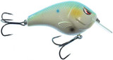 Fat Papa SB Crankbait