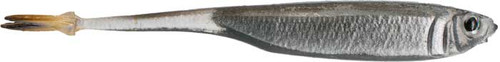 6th Sense Masterclass Strobe Minnow