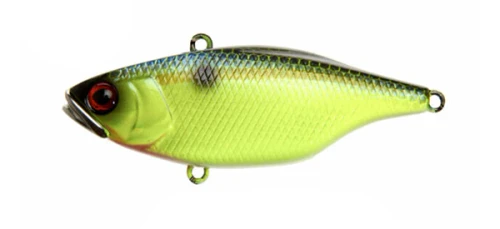 Jackall - TN - Disk Knocker