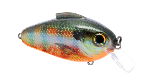 Bill Lewis Echo Squarebill Crankbait