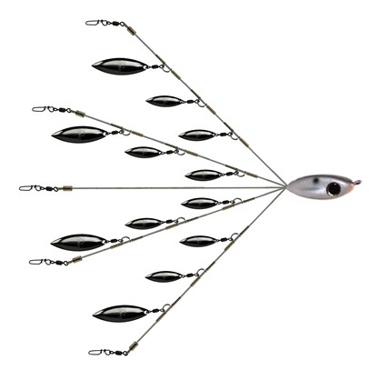 Picasso School E-Rig Flashback Umbrella Rig
