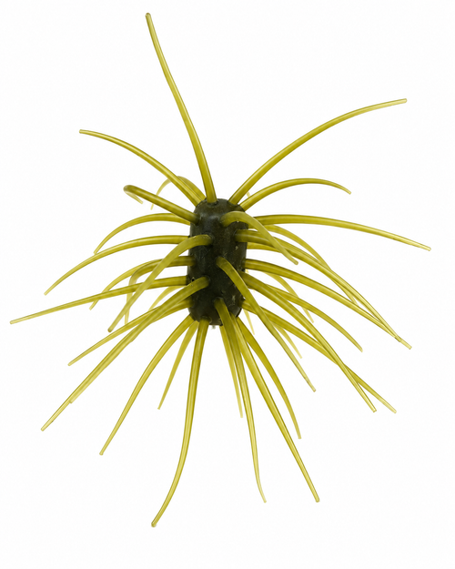 Duckett Ashi Urchin-Style Bait - 33mm x 15mm