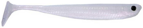 Anchovy Shad