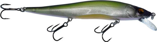 HH Minnow