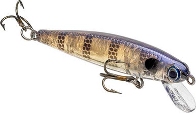 Bitsy Jerkbait