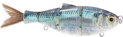 Duckett Fishing BD Shad Swimbaits