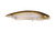 Megabass Karashi 80