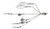 Picasso BFL Smackdown 5 Blade Umbrella Rig