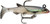 Storm WildEye Live Minnow