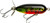 Torpedo Series
