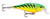 Shallow Shad Rap