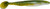 Strike King KVD Perfect Plastics Swim'n Caffeine Shad