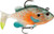 Storm WildEye Live Sunfish