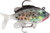 Storm WildEye Live Crappie