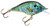Rebel Bluegill Crankbait