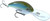 Pro-Model Xtra-Deep (XD) Crankbaits