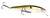 KVD Slash Bait Jerkbait
