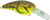Pro Series Mike McClelland RkCrawler MD 55