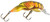 Rebel Wee-Crawfish