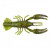 Ned Craw