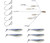 YUM Scottsboro Tackle Swimbait Flash Mob Jr Kits