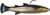 Mulletron LT Swimbait