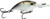 Curve 55 Crankbait