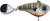 Gyro Tail Spinner